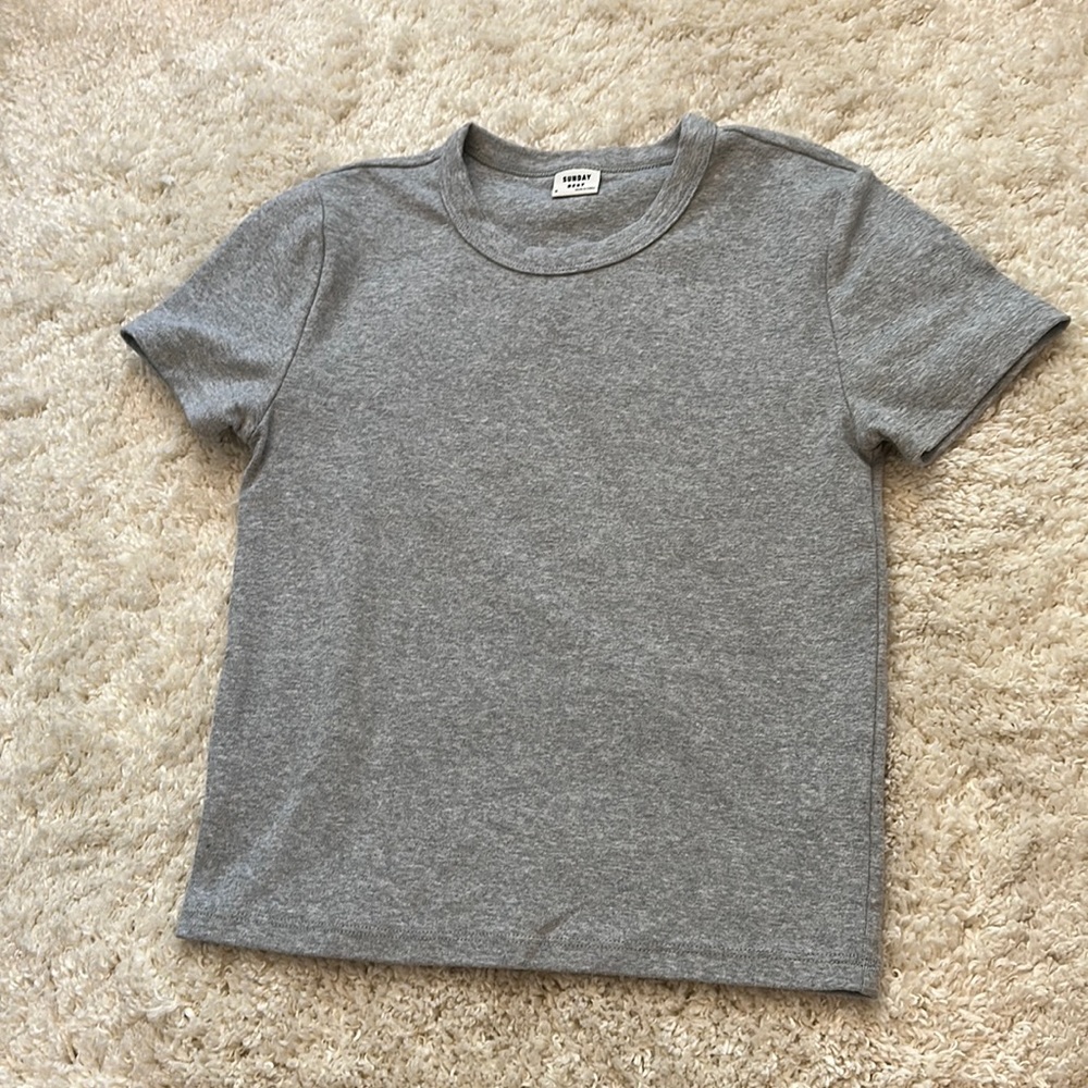Aritzia Sunday Best little ribbed t shirt